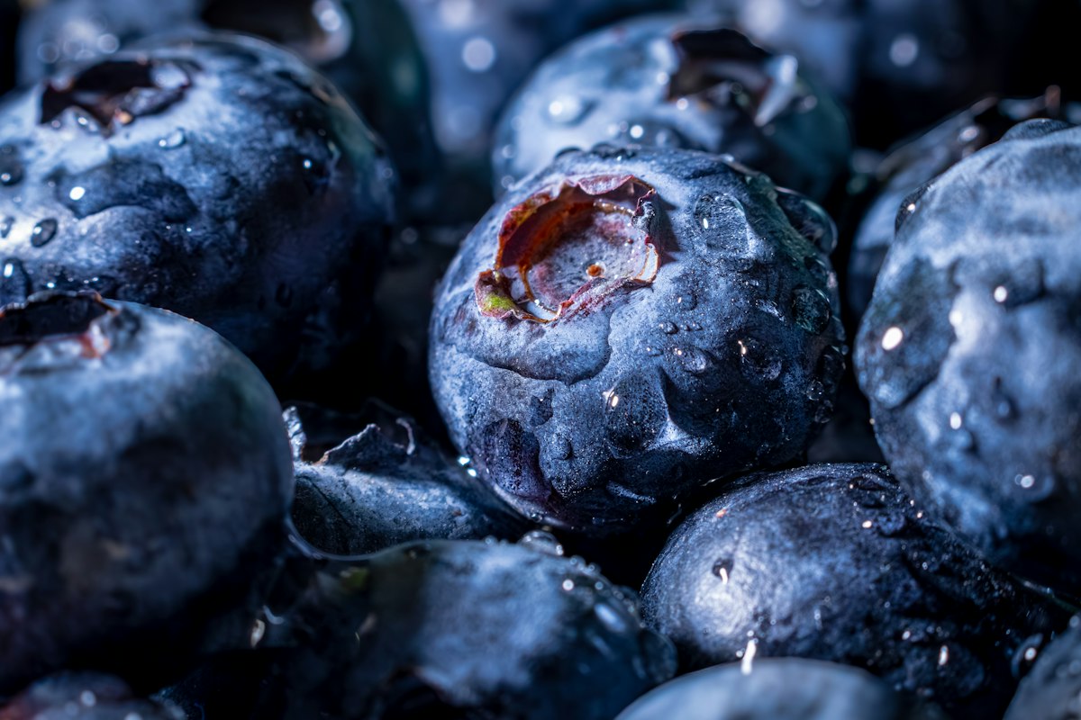 Fruits rouges et antioxydants : le pouvoir de la nature